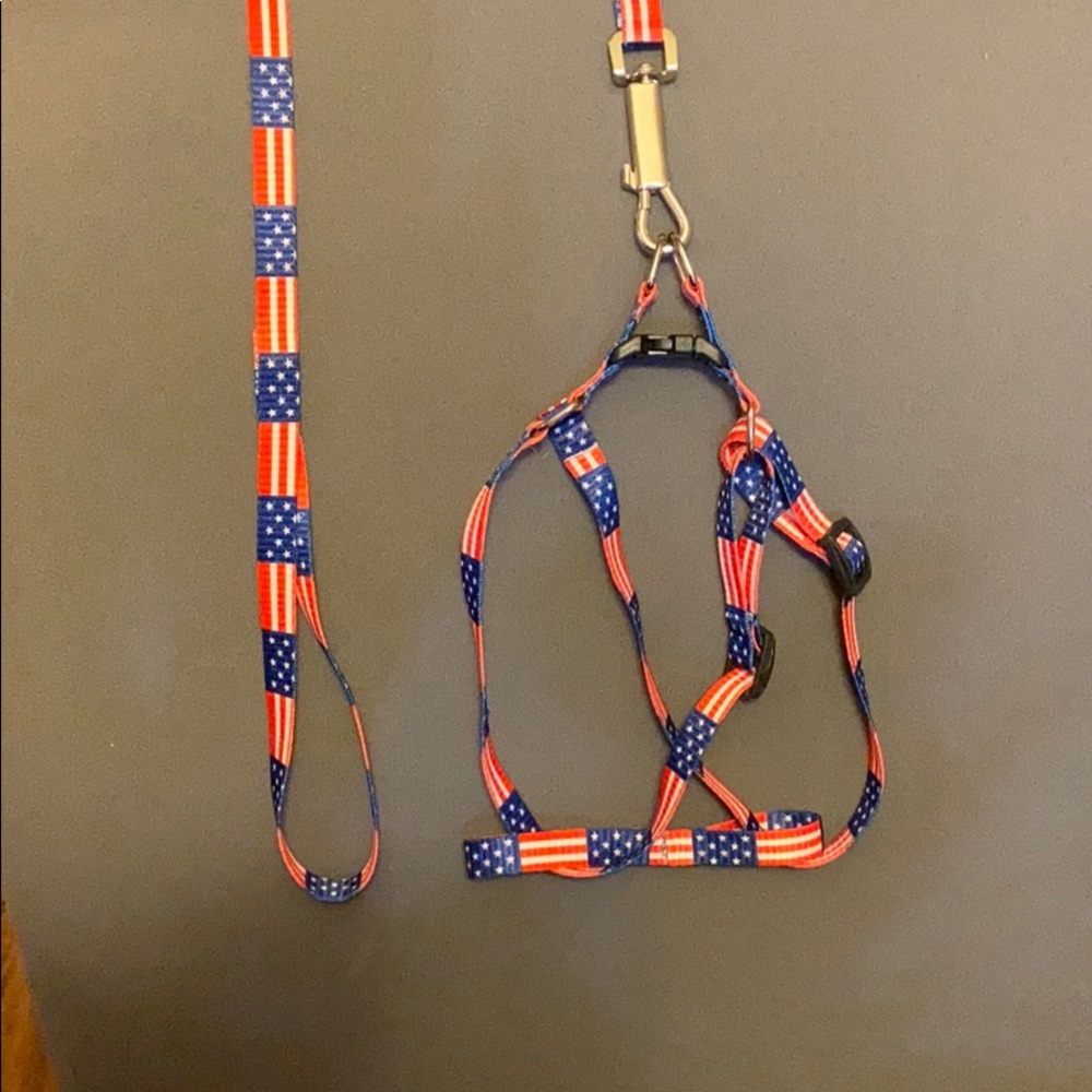 BNWT Dog harness and leash